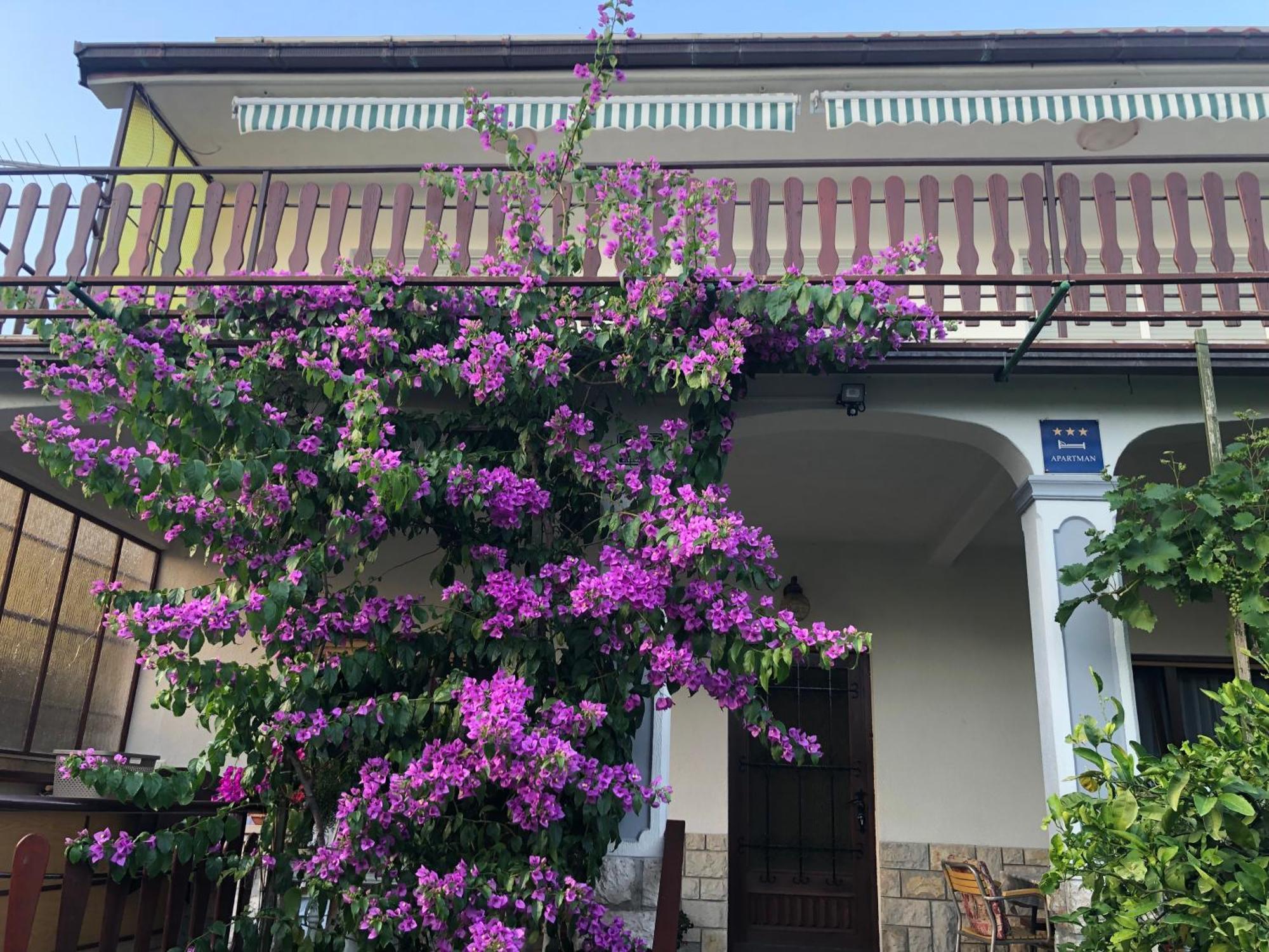 Apartment Marija 塞尔瑟 外观 照片
